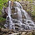 Beaver Meadow Falls