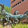Arizona State University No 15